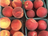 Image for Toledo Farmer' Market